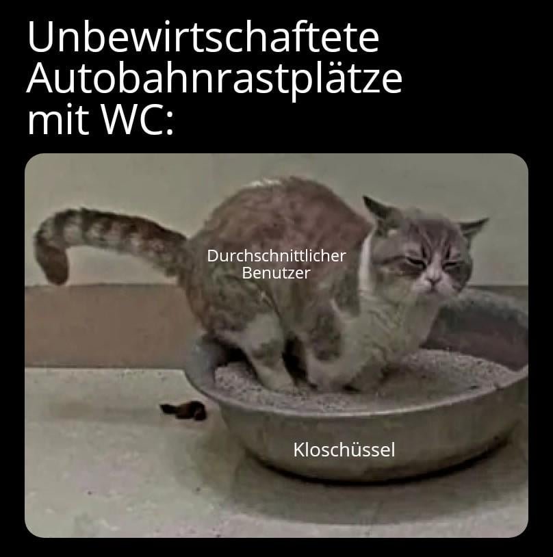 ich_iel