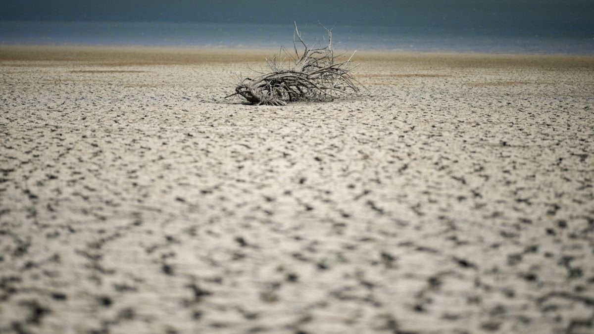 Le réchauffement climatique, facteur aggravant des sécheresses en Sicile et en Sardaigne