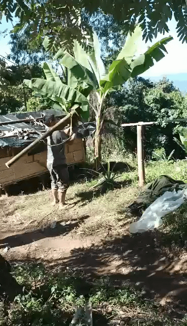 Kachin Independence Army fighter using a Chinese FN-6 MANPAD missile to shoot down a Myanmar Air Force helicopter. Likely from January 3, 2024 in Waingmaw Township.