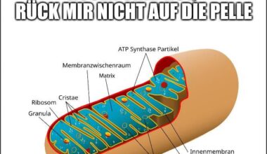 Ich🧬iel