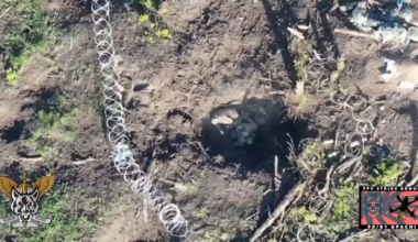 Ukrainian soldier from the 81st Airmobile Brigade kills Russian soldier with a well placed grenade in close quarter combat. Bilohorivka, Luhansk. May 2024