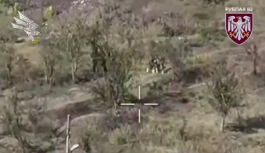 Ukrainian 82nd Air Assault Brigade's "Wild Division" drone team hit two Russian soldiers with a single FPV strike drone, unsing a drone type with airburst functionality.