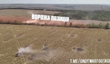 Ukrainian BMP-1TS covers the infantry, which is clearing Russian positions in the Luhansk region.