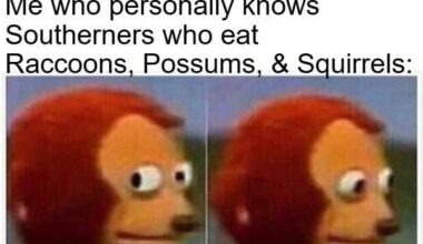 Not to go all vegetarian, but there's a thin line between "pet" animals & "food" animals determined by culture and circumstance