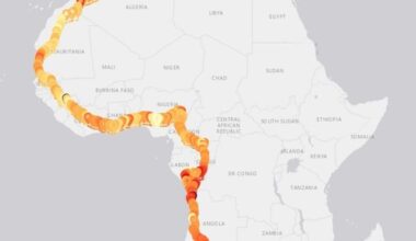 [OC] The first person to run the length of Africa (Russ Cook/Hardest Geezer) in 6 maps