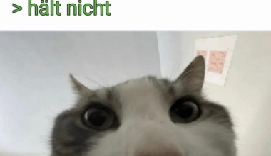 ich_iel