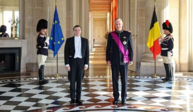 The King of the Belgians welcomes new ambassadors from Paraguay, Guyana, São Tomé and Príncipe and The Gambia