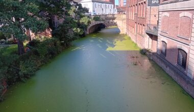 The Algae Bloom on the River Foss