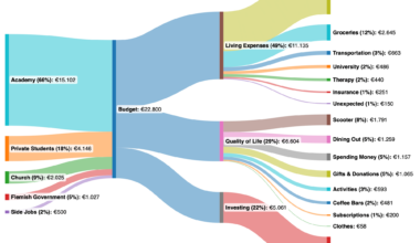 Yearly Income and Expenses of a 25 Year Old Working Student in Belgium [OC]