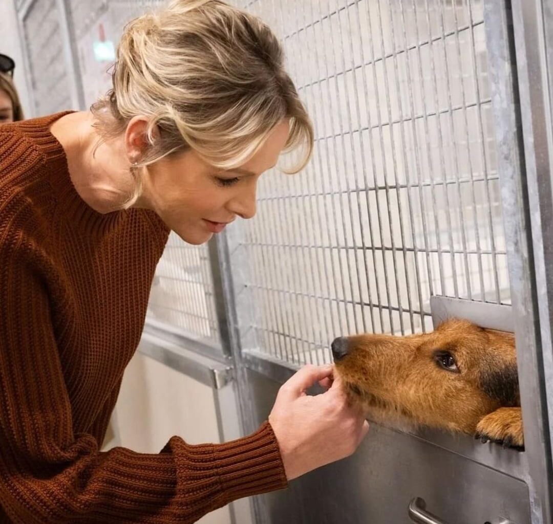 Prince Albert and Princess Charlene of Monaco attended the official inauguration of the new shelter of the Monaco Society for the Protection of Animals in Peille