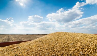 Russia earned up to $6 billion from stolen Ukrainian grain