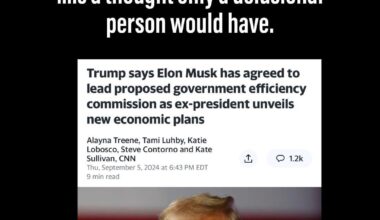 If Trump wins… Musk to the rescue!