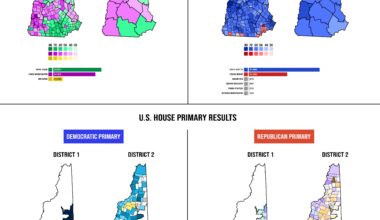 Results of the 2024 New Hampshire Primary Elections (improvements based off feedback) [OC]