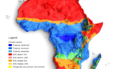 [OC]A Map🗺️ Showing Africa Climate Range Based on Koppen-Geiger Climate Classification dataset (1991 - 2020)