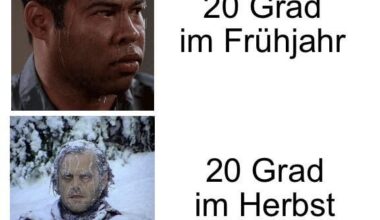 ich_iel