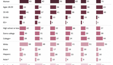 Social Media Demographic Stats