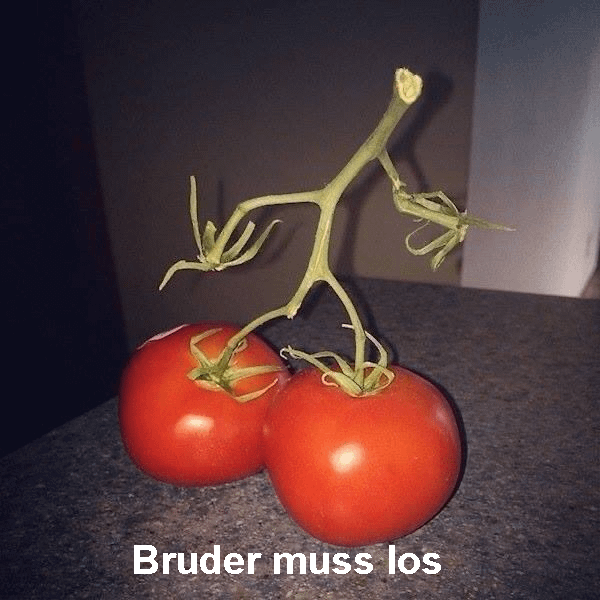 ich_iel