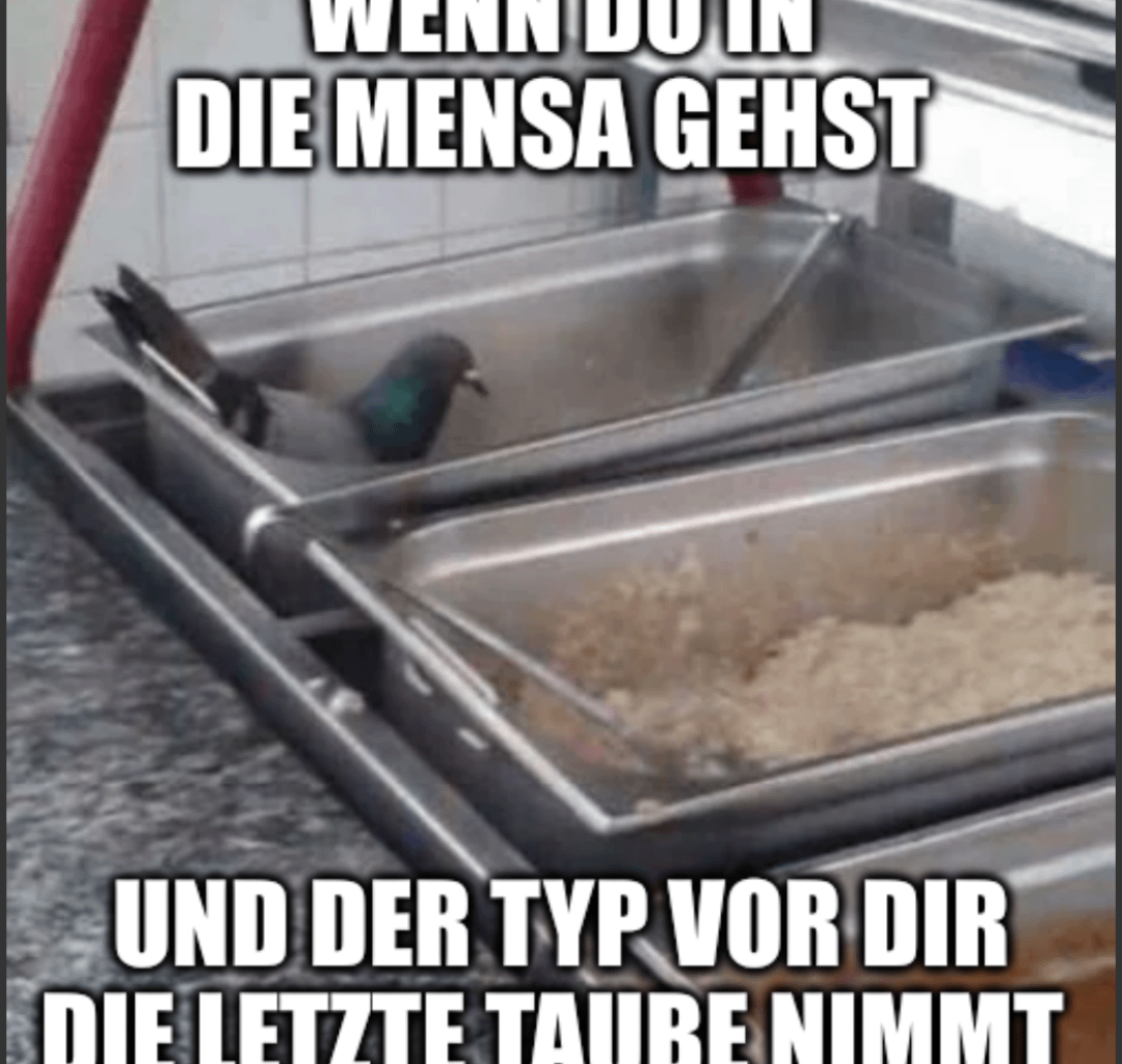 Ich🕊️iel