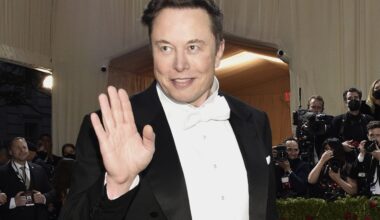 Elon Musk Promotes Tweet Calling for Democracy to Be Replaced With ‘Republic’ Run By ‘High Status Males’