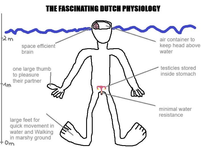 I studied dutch physiology. Here are my results!