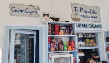 Cuban cigars and cat, Mykonos.