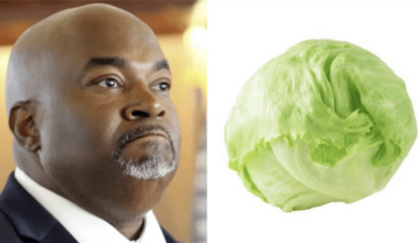 Republican Mark Robinson vs. Head of Lettuce.  START THE CLOCK