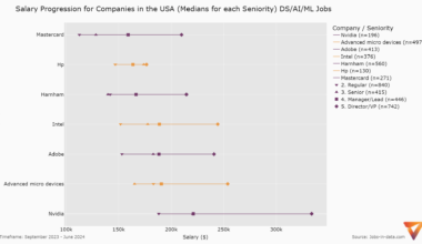 [OC] Salary Progression for Companies by Seniority (DS/AI/ML Jobs)