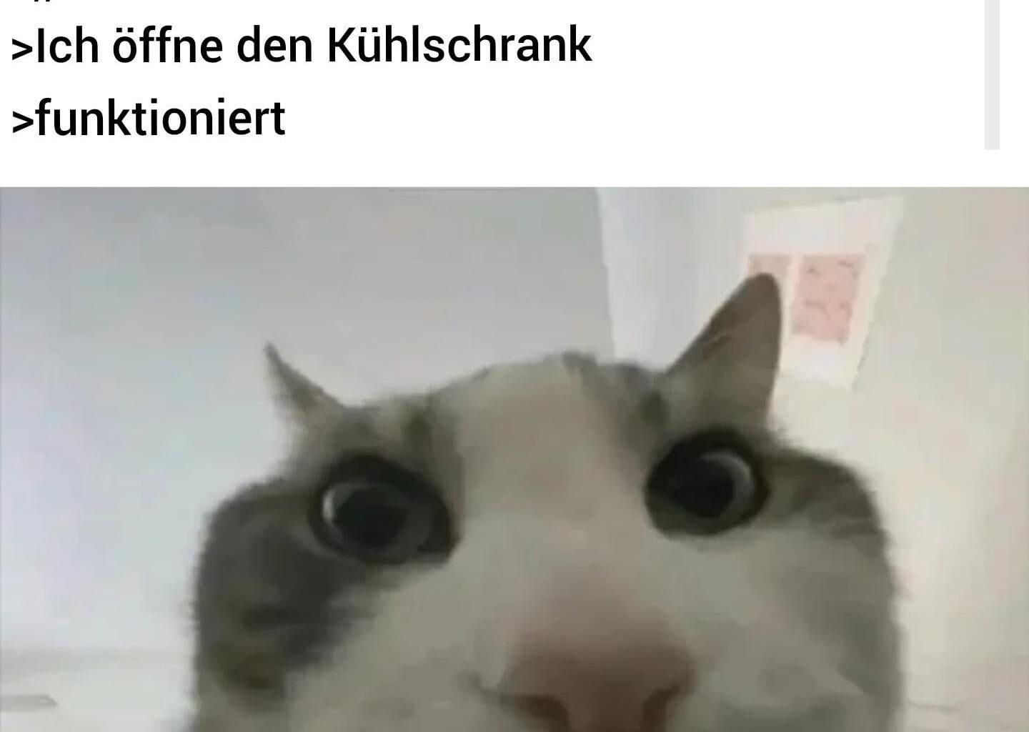 ich_iel