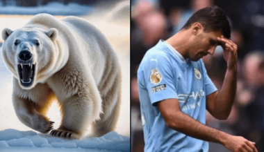 🚨🚨| BREAKING: Manchester City players and staff could be all sent to the Arctic to fight polar bears, if they are found guilty of serious breaches of its financial rules. 🤯