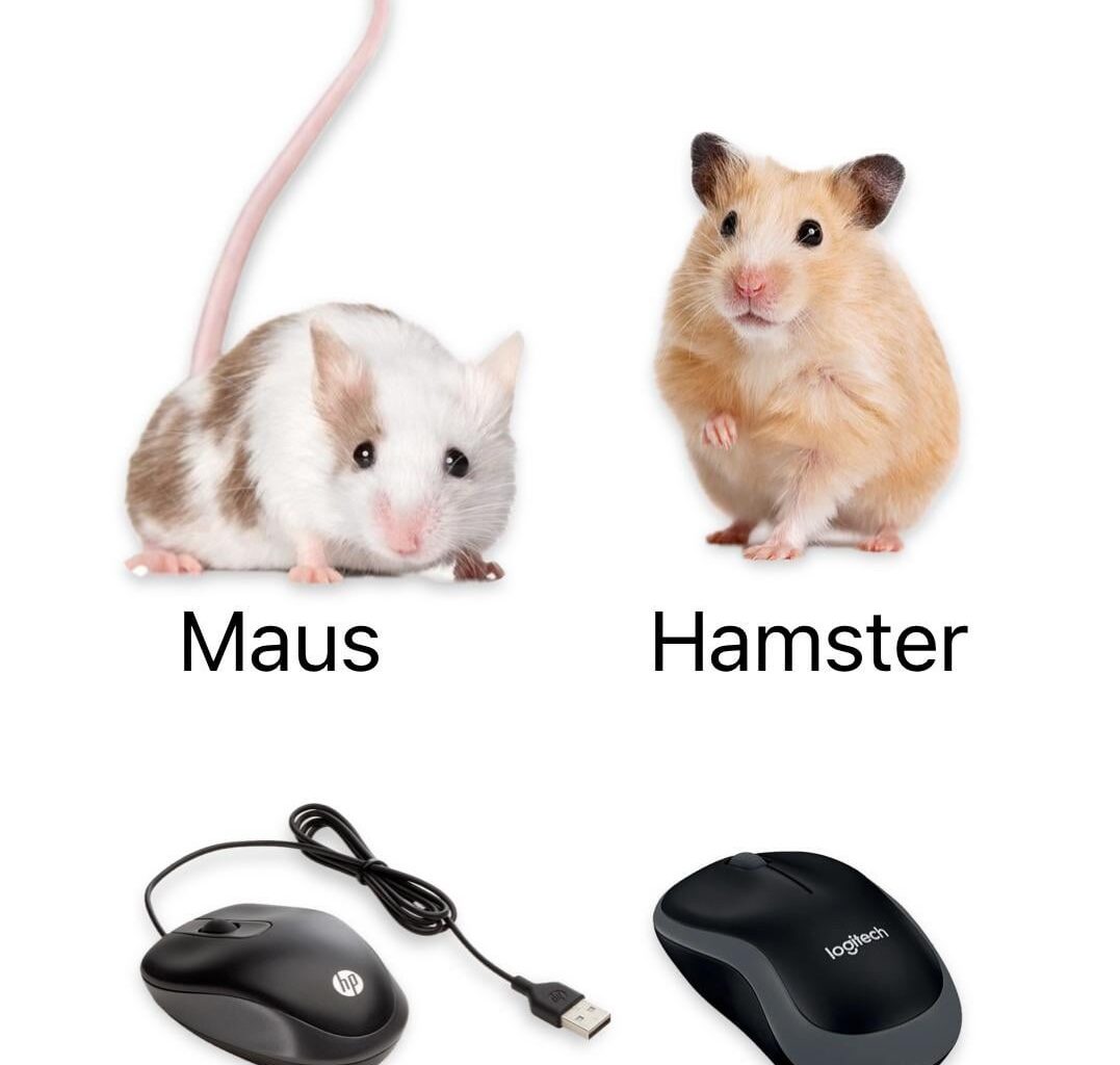 ich🐭iel