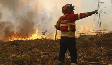 Environ 4 000 pompiers sur le terrain pour lutter contre 17 incendies en cours