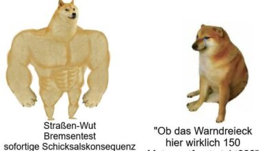 ich_iel