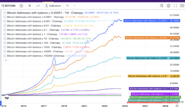 [OC] The distribution of wealth on Bitcoin