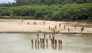 A remote Indigenous tribe kills two loggers encroaching on their land in Peru • Two loggers have been killed by bow and arrow after allegedly encroaching the land of the uncontacted Mashco Piro Indigenous tribe deep in Peru’s Amazon