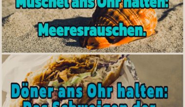 🤣🤣🤣🤣 Muschel vs Döner, was ist besser 😎😅🤣