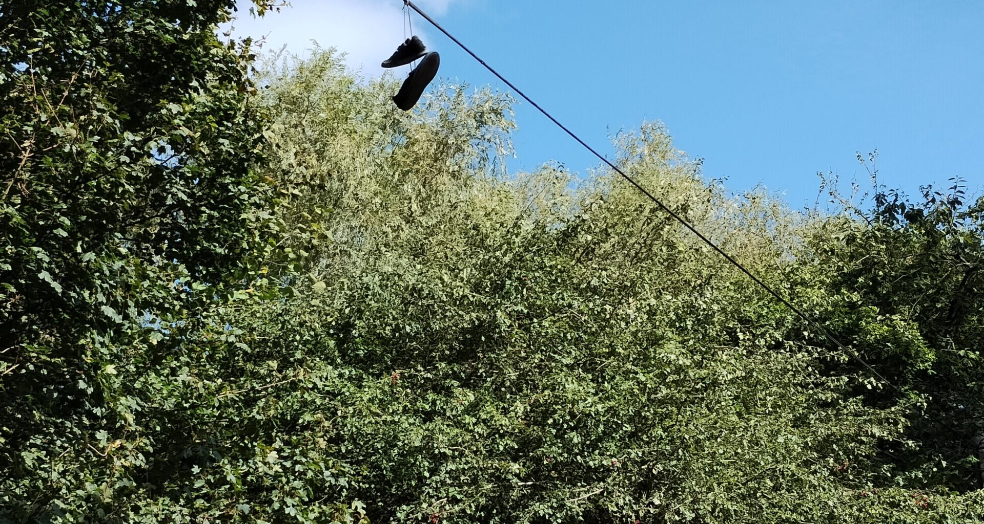 As the summer begins to recede, a pair of trainers perched on a telephone cable in the Warwickshire countryside prepare to migrate.