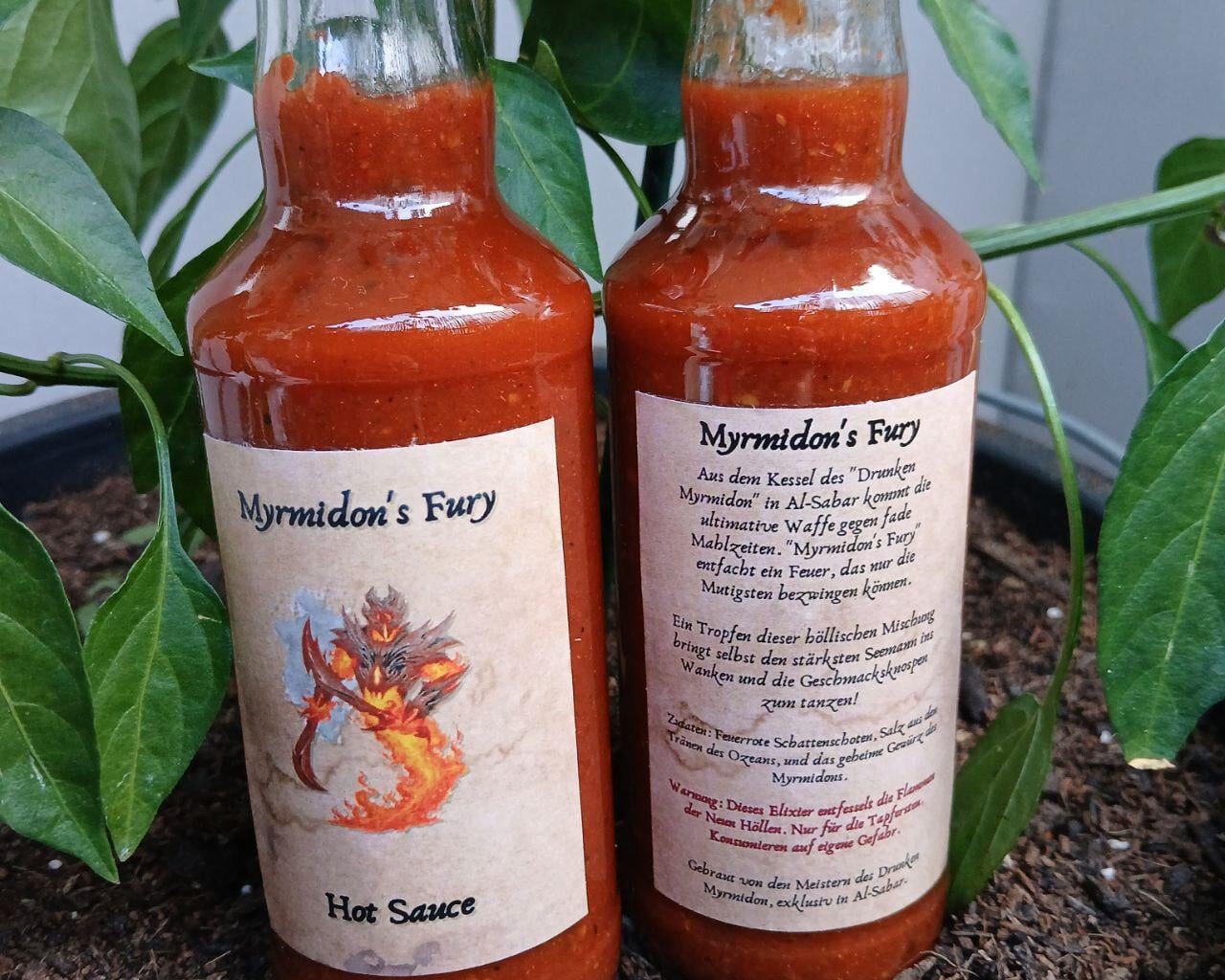 Aus der Chili Ernte Hot Sauce für die DnD Party gekocht.