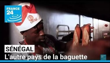 Le Sénégal, l'autre pays de la baguette • FRANCE 24 - YouTube