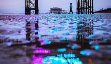 Neon Lights at Low Tide - Brighton