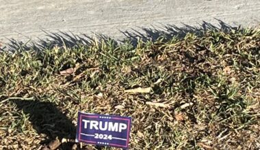 Someone’s going around LB putting Trump flags in pieces of dog poo