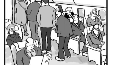 Next time you fly, see if you can spot the Toilet Hogger.