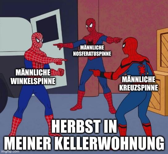 ich🕷iel