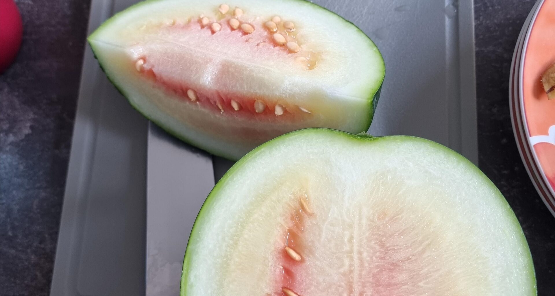 Unsere erste Wassermelonenernte