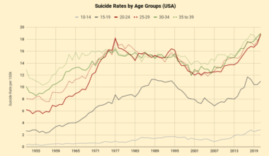 [OC] Suicide Rates by Age Groups (USA)