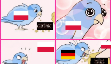 🇩🇪🤝🏻🇵🇱