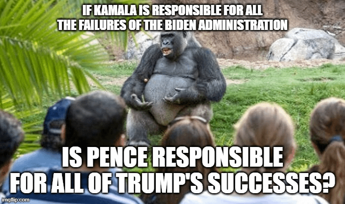 When a Trump Supporter says that Kamala hasn't done anything in 3 1/2 years to fix anything, I just want to ask: