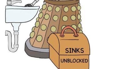 Skaro’s Government retraining scheme