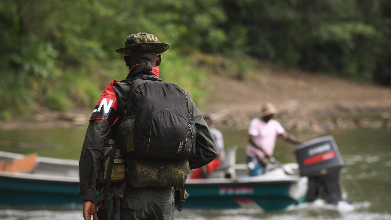 More than 350 environmental activists killed in Colombia since 2018, says NGO report