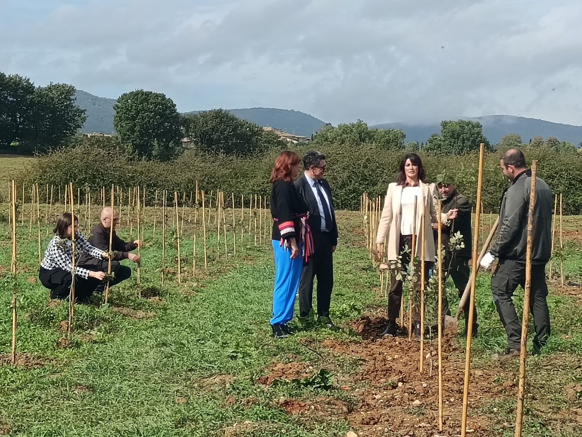 Progetti green dell’Università di Siena a “Linea Verde Italia”