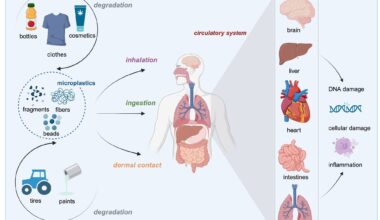 Microplastics: an often-overlooked issue in the transition from chronic inflammation to cancer (2024)